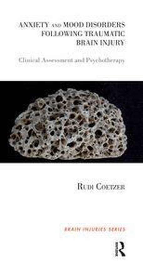 The Brain Injuries Series - Anxiety and Mood Disorders Follo ... - cover