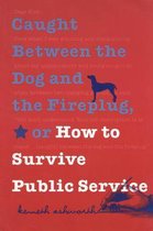 Texts and Teaching/Politics, Policy, Administration series - Caught Between the Dog and the Fireplug, or How to Survive Public Service