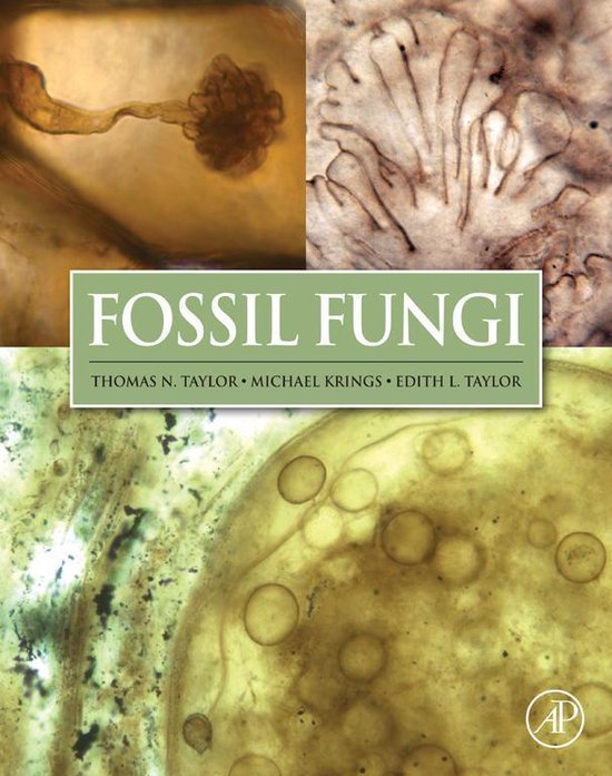 Fossil Fungi - cover