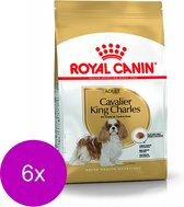 Royal Canin Bhn Cavalier King Charles Adult - Hondenvoer - 6 x 1.5 kg