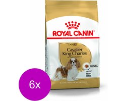 Royal Canin Cavalier King Charles Adult - Hondenvoer - 6 x 1.5 kg