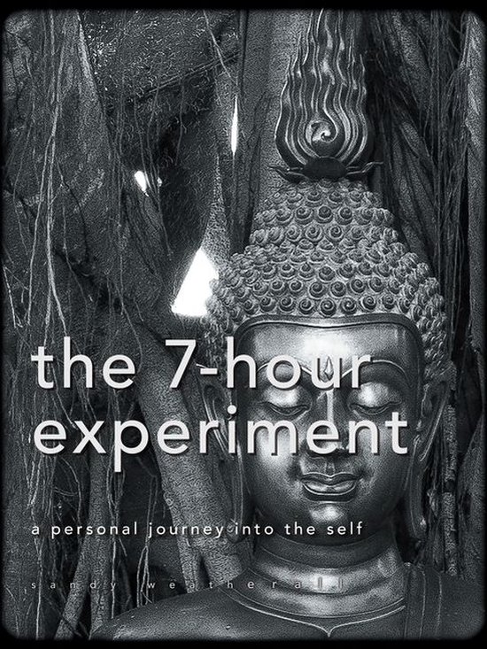 The 7-Hour Experiment - cover