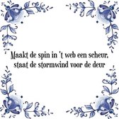 Tegeltje met Spreuk (Tegeltjeswijsheid): Maakt de spin in 't web een scheur, staat de stormwind voor de deur + Kado verpakking & Plakhanger