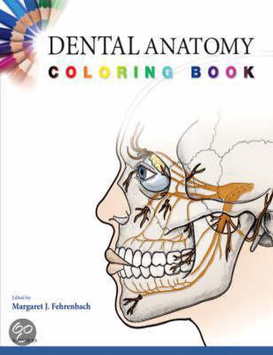 Dental Anatomy Coloring Book