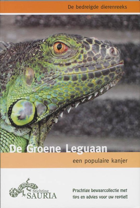 Cover van het boek 'De Groene leguaan' van Dian Herpin