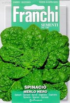 Franchi - Spinacio Merlo Nero - Spinazie Donkerbladig