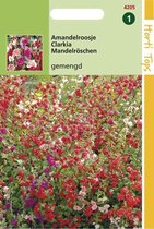 Hortitops Zaden - Clarkia Elegans Dubbelbloemig Gemengd