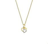 TFT Collier Geelgoud Hart 1,0 mm 41 + 4 cm
