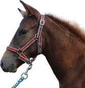 Kerbl Eurohorse Veulenhalster - Exclusief - rood
