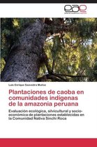 Plantaciones de caoba en comunidades indígenas de la amazonia peruana