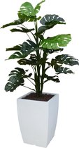 HTT - Kunstplant Monstera in Genesis vierkant wit H150 cm