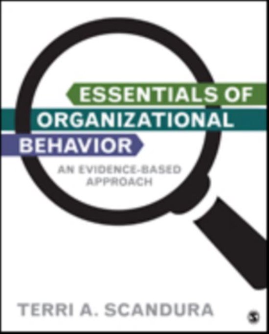 Summary Midterm Organisational Behaviour