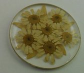 My iMenso insigne Flora daisy insignia 33-1176