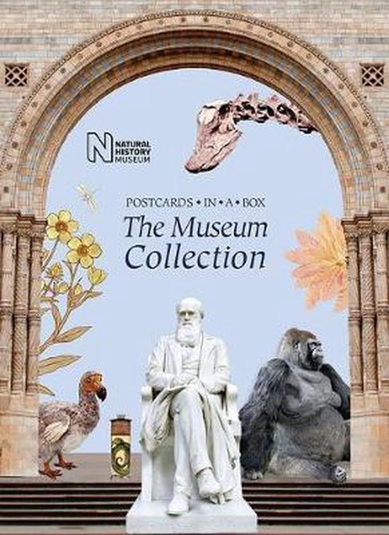 The Museum Collection Postcards in a Box - cover