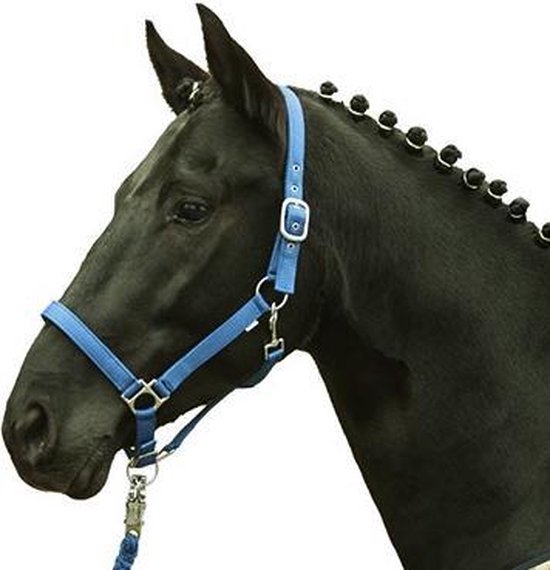 Hoofdstel Chain - dierenvriendshop