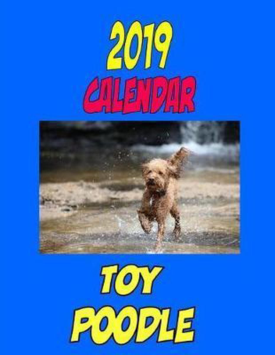 2019 Calendar Toy Poodle - Gary Wittmann