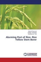 Alarming Pest of Rice- Rice Yellow Stem Borer