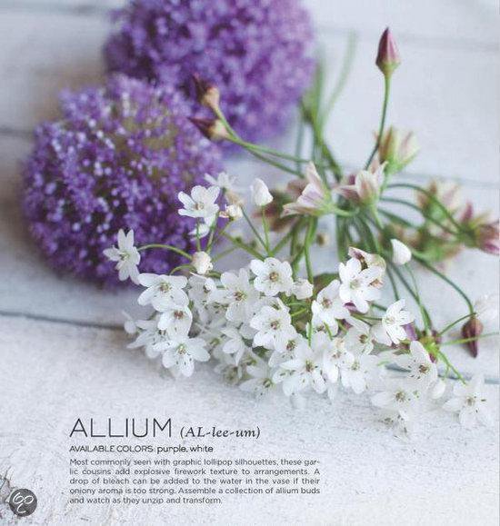 Paarse alliumbloemen en witte bloemen met fijne blaadjes, met de tekst 'ALLIUM' en beschrijving van kleuren en textuur.