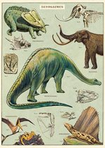 Poster Dinosaurussen - Cavallini & Co - Vintage Schoolplaat Dino's