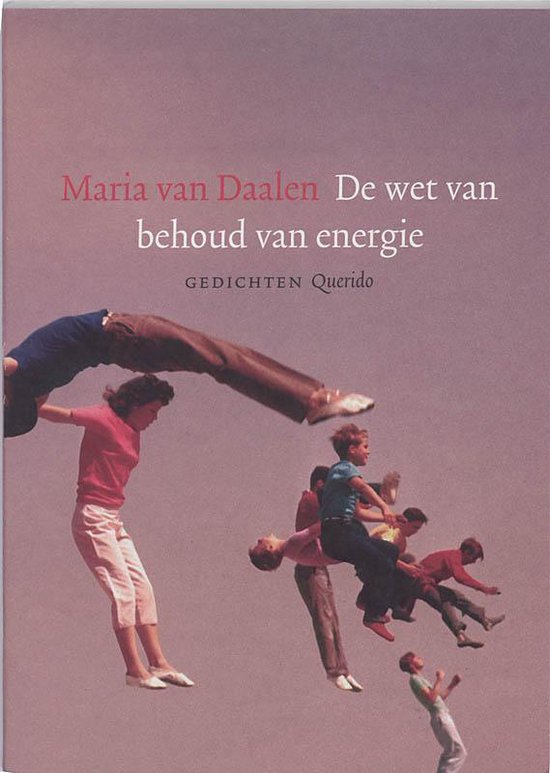 Cover van het boek 'De wet van behoud van energie'