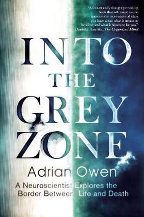 Into the Grey Zone - cover