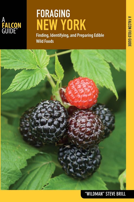 Foraging Series - Foraging New York - cover