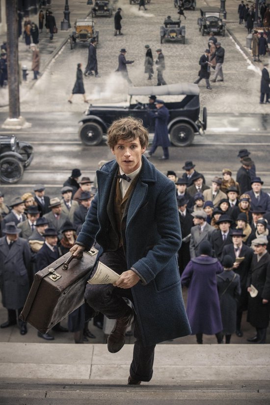 Fantastic Beasts And Where To Find Them (Blu-ray) (Limited Edition)
