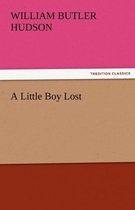 A Little Boy Lost