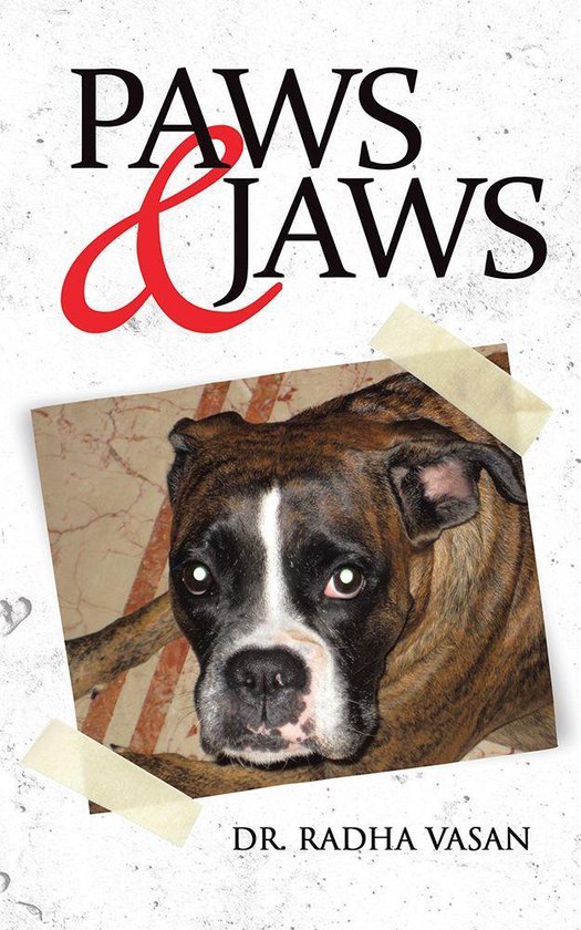 Paws & Jaws