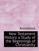 New Testament History a Study of the Beginnings of Christianity