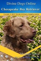 Chesapeake Bay Retrievers