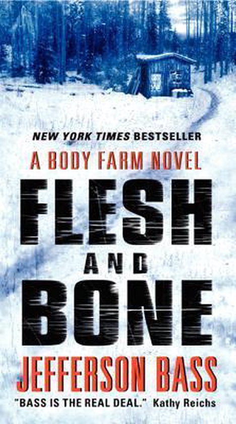 Flesh and Bone - cover