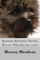 Secretos del Cairn Terrier