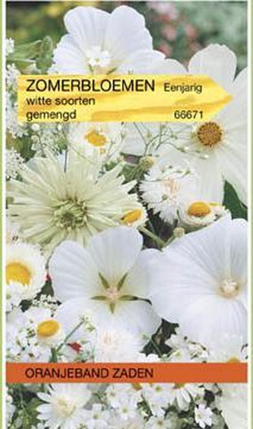 OBZ Zomerbloemen Mengsel Wit