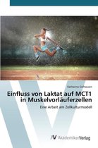 Einfluss von Laktat auf MCT1 in Muskelvorlauferzellen