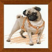 Borduurpakket Mopshond - Pug Dog - Riolis