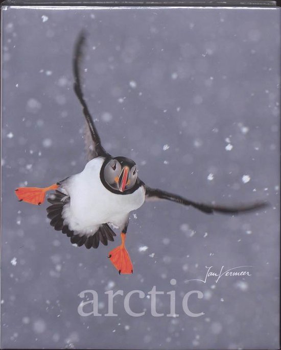 Cover van het boek 'Arctic / NLD ed' van Frieda van Essen en Jan Vermeer