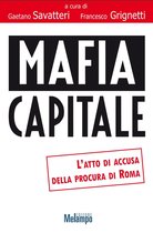 Le storie - Mafia capitale