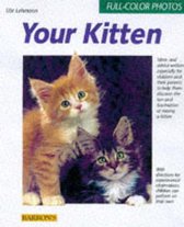 Your Kitten