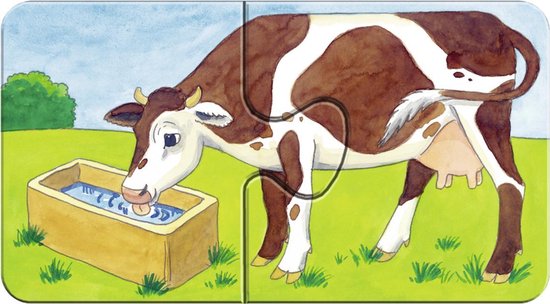 Een bruin-witte koe drinkt uit een waterbak in een groene wei.