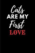 Cats Are My First Love