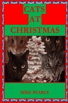 Cats at Christmas