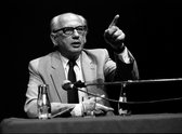 Karel van het Reve