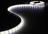 Flexibele Led Strip - Koud Wit - 300 Leds - 5M - 12V