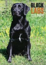 Labrador Retriever Zwart Agenda 2018
