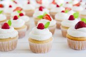The Cupcake Cookbook - 103 Recipes