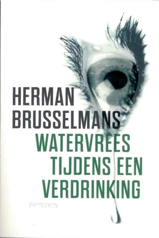 Watervrees tijdens een verdrinking - Herman Brusselmans | 