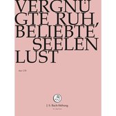 Chor & Orchester Der J.S. Bach-Stiftung, Rudolf Lutz - Bach: Vergnugte Ruh, Bliebte Seelen (DVD)