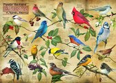 Cobble Hill puzzel Popular Backyard Wild Birds - 1000 stukjes
