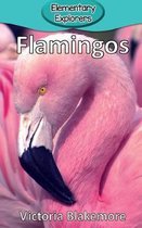 Elementary Explorers- Flamingos